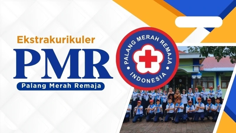 pmr
